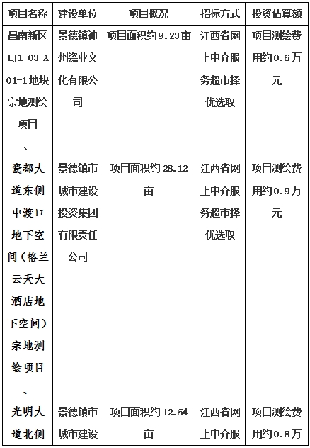 景德鎮(zhèn)市昌南新區(qū)LJ1-03-A01-1地塊、瓷都大道東側(cè)中渡口地下空間（格蘭云天大酒店地下空間）、光明大道北側(cè)利民路西側(cè)地下空間（青少年宮地下空間）、規(guī)劃二路北側(cè)地下空間地塊二（加速基地地下空間）、規(guī)劃二路北側(cè)地下空間地塊一（加速基地地下空間）、景德大道南側(cè)天寶橋西側(cè)地塊、景興大道東側(cè)如意路北側(cè)地下空間(社會公共服務(wù)