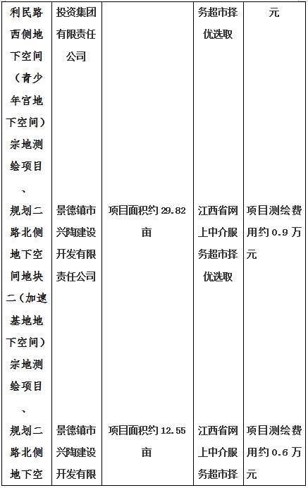 景德鎮(zhèn)市昌南新區(qū)LJ1-03-A01-1地塊、瓷都大道東側(cè)中渡口地下空間（格蘭云天大酒店地下空間）、光明大道北側(cè)利民路西側(cè)地下空間（青少年宮地下空間）、規(guī)劃二路北側(cè)地下空間地塊二（加速基地地下空間）、規(guī)劃二路北側(cè)地下空間地塊一（加速基地地下空間）、景德大道南側(cè)天寶橋西側(cè)地塊、景興大道東側(cè)如意路北側(cè)地下空間(社會公共服務(wù)
