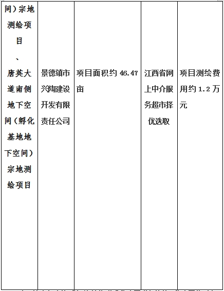 景德鎮(zhèn)市昌南新區(qū)LJ1-03-A01-1地塊、瓷都大道東側(cè)中渡口地下空間（格蘭云天大酒店地下空間）、光明大道北側(cè)利民路西側(cè)地下空間（青少年宮地下空間）、規(guī)劃二路北側(cè)地下空間地塊二（加速基地地下空間）、規(guī)劃二路北側(cè)地下空間地塊一（加速基地地下空間）、景德大道南側(cè)天寶橋西側(cè)地塊、景興大道東側(cè)如意路北側(cè)地下空間(社會公共服務(wù)